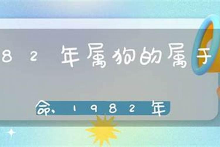 两个人属猪八字合不合