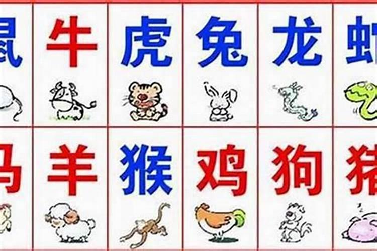 闰年出生怎么定八字