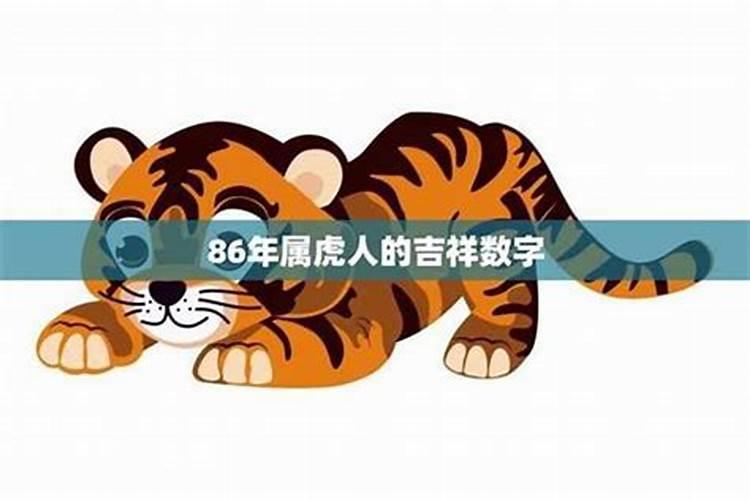 梦见从外地往家赶猪