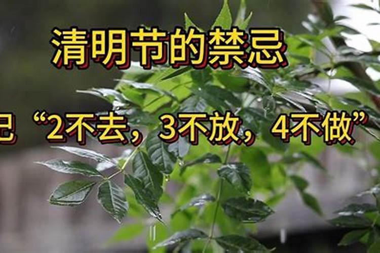 2021年清明节忌讳