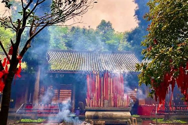 宁阳清明节祭扫活动