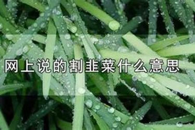 梦见别人拿韭菜