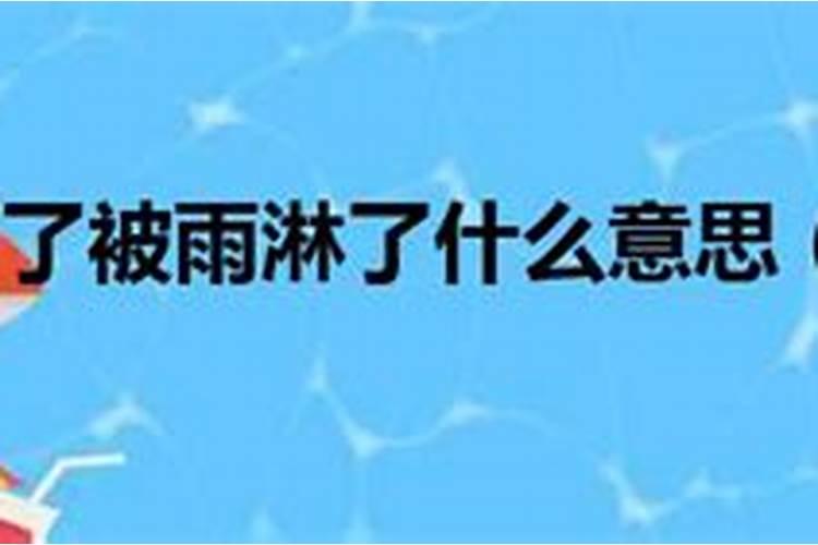 梦见下大雨很多鸡被雨淋