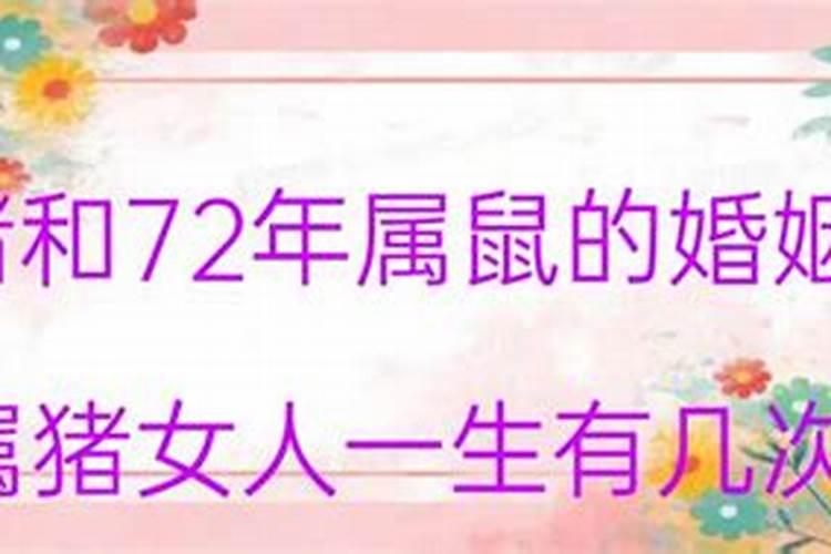 72年属鼠的婚姻有几次婚姻呢