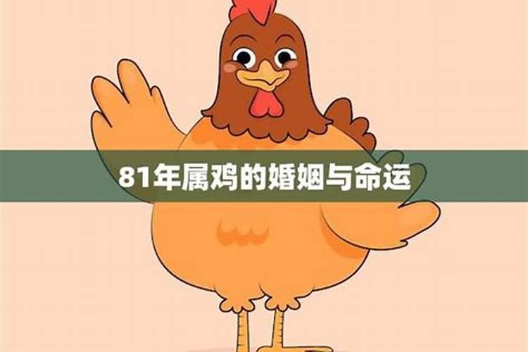 81年属鸡月份运势如何看