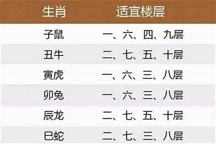 楼层对属相真的有影响吗知乎