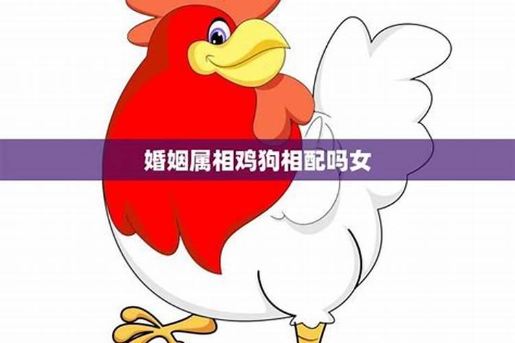 本命年运气都不好吗为什么还不好