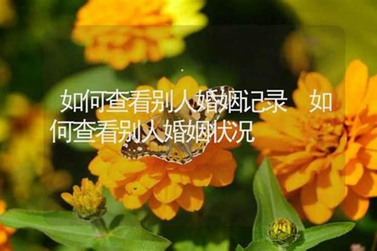 清明节的公历是几月几日