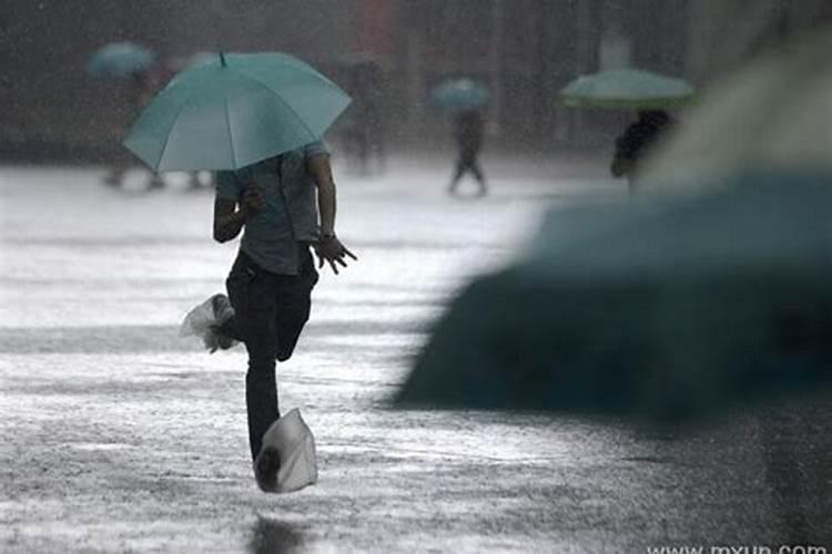 梦见下大雨淋湿全身