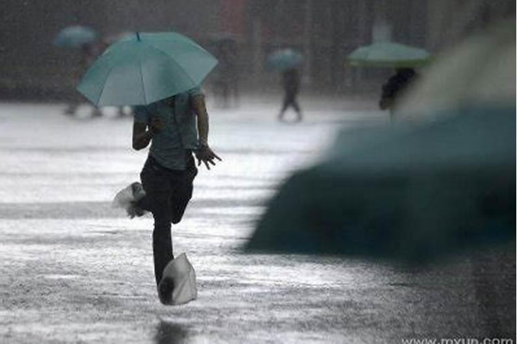 梦到大雨淋湿全身