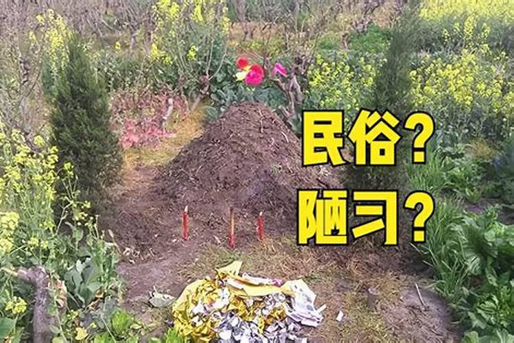 清明节哪几种人不能上坟