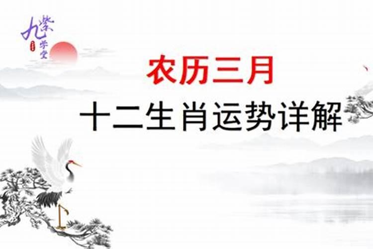 2021年农历3月生肖运势详解