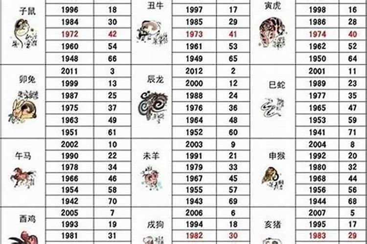 1984年12月出生人的命运