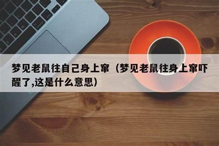 梦见老鼠往自己身上钻甩不掉什么意思