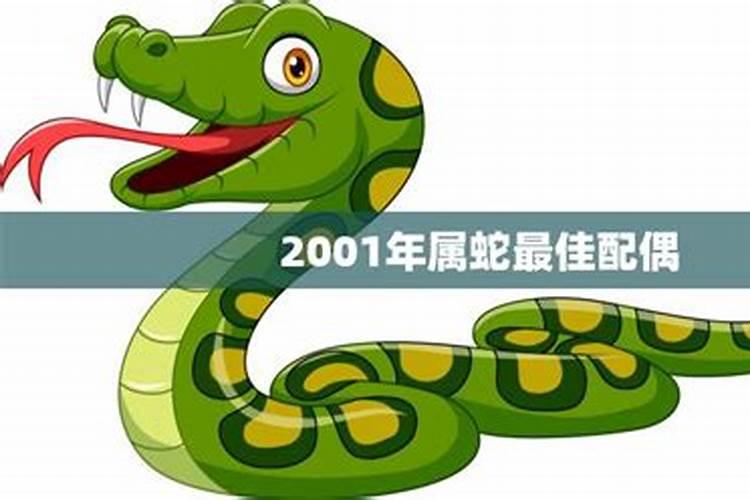 2001年属蛇婚配哪个属相最好