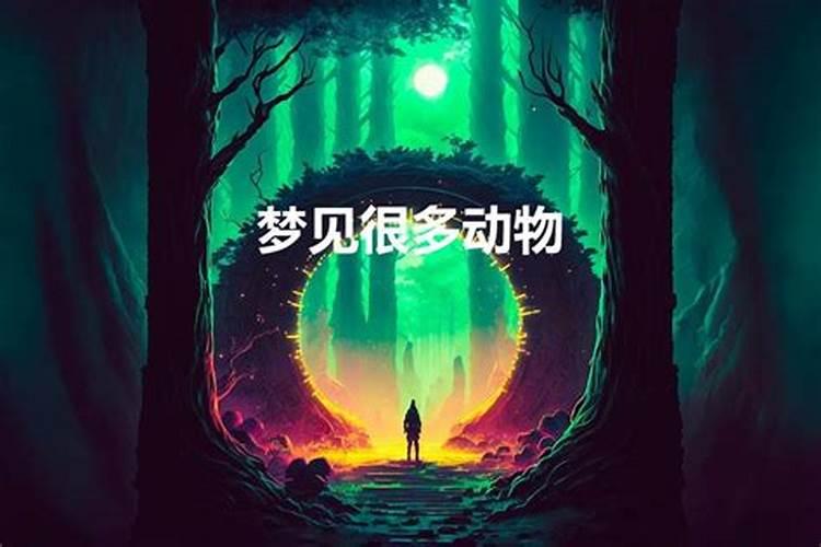 梦到动物是啥意思