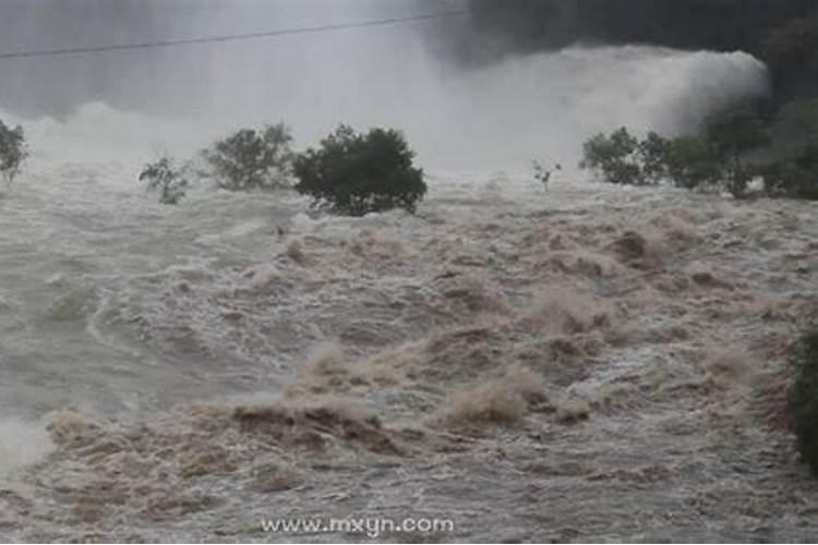 怀孕梦见涨大水下大雨