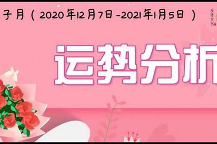 戊子日在2020年运势如何