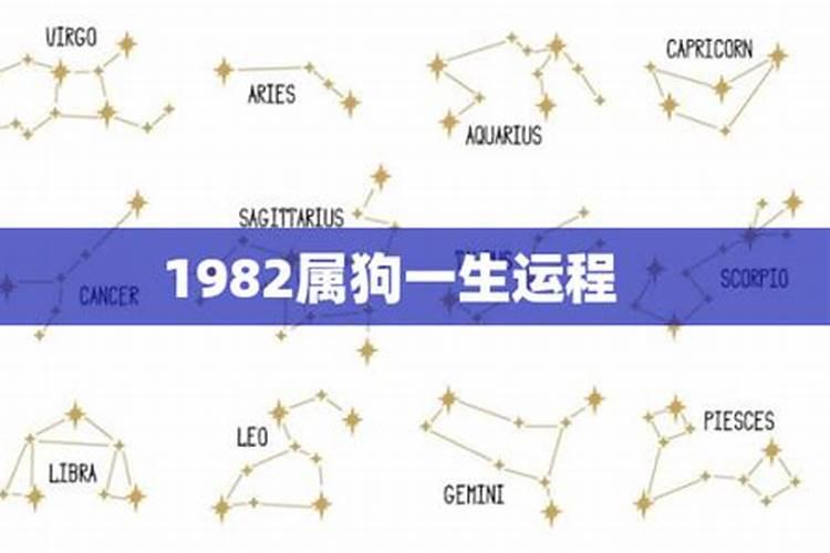 1982属狗人一生运势运程如何