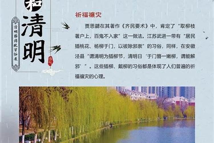 现代清明节有哪些风俗活动