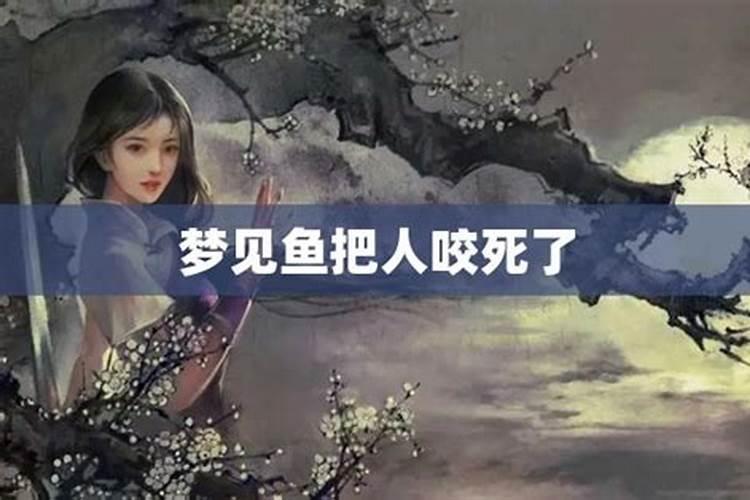 梦见被鱼咬把鱼杀了