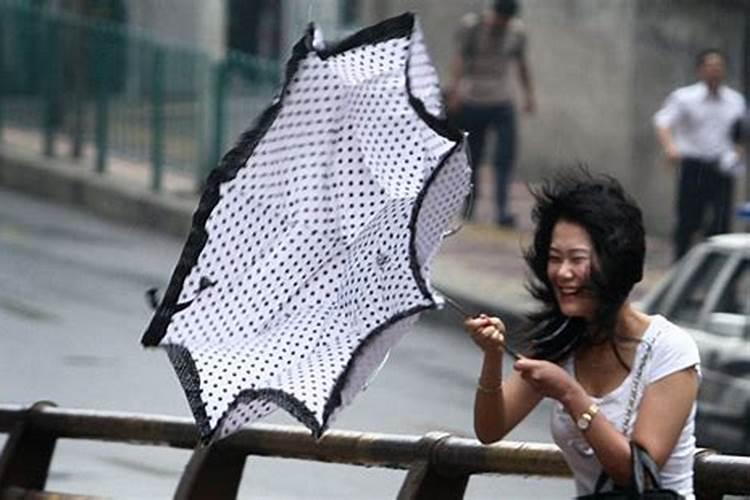 怀孕梦见刮风下大雨窗口外掉下来几只鱼