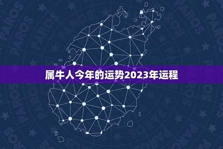 查属牛人2023年的运程