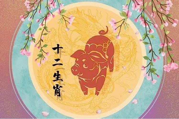 属猪今年多大