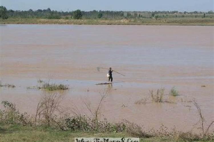 梦见河水在路上流动