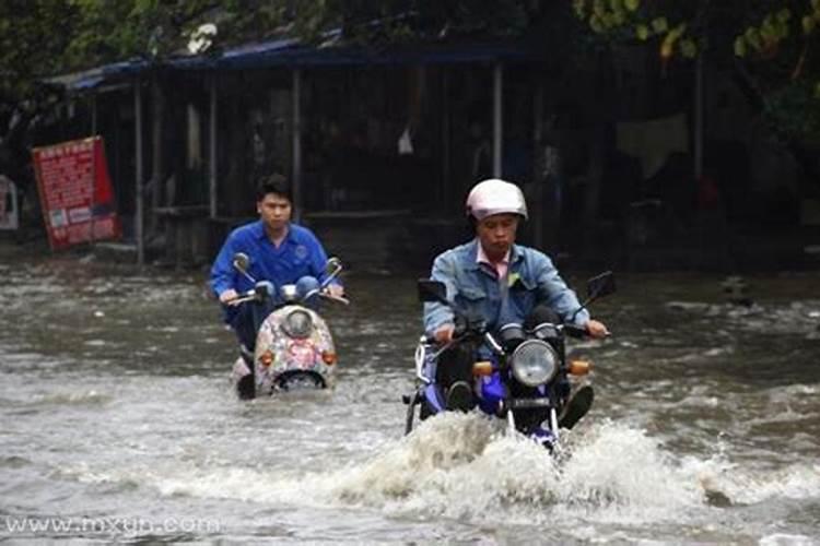 梦到下雨路上水流成河,邻居们冒雨排水