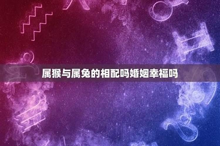 属猴的人和属兔的在一起八字合不合婚姻