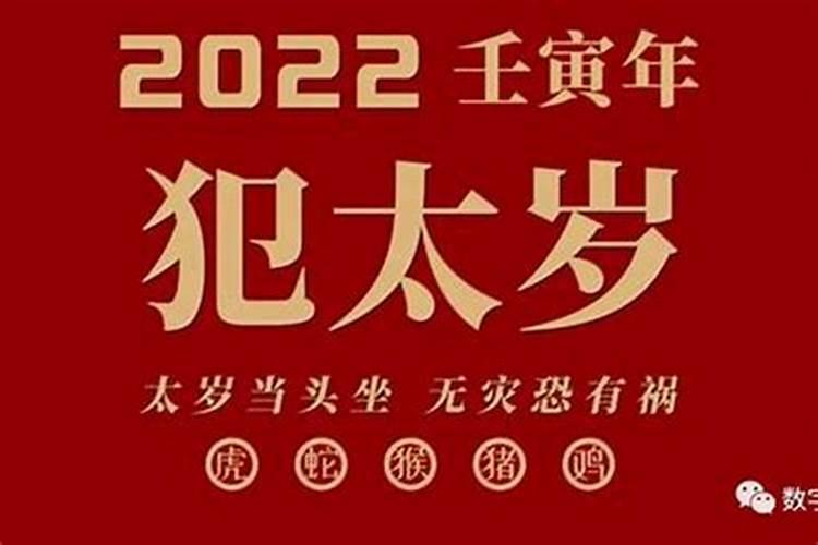 属龙的2023运势运程如何