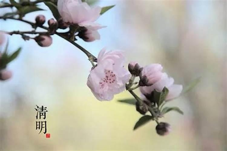 清明节新坟提前扫墓吗