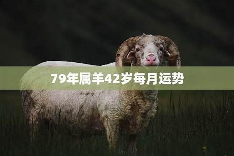 79年属羊男2021年运势及运程每月运程灵机