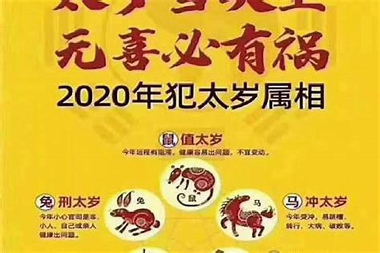 2024出生属狗的运势