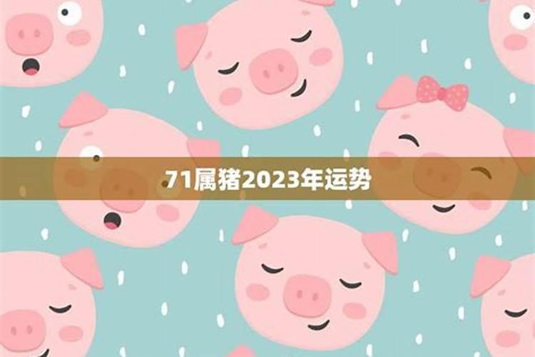 属猪2023年感情运势