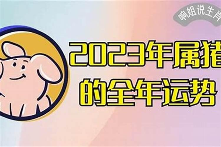 属猪的婚姻2023年运势运程