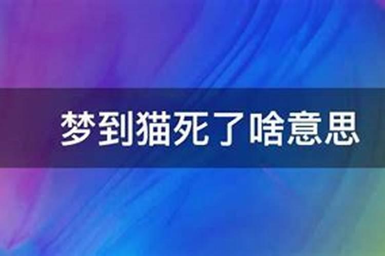 梦见猫都死了什么意思