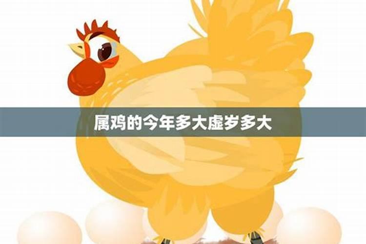 属鸡今年多大了2021年