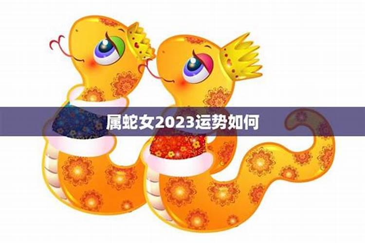 属蛇女2023年感情运势