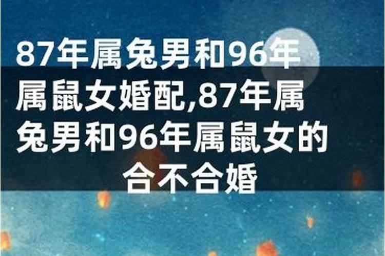 72年属鼠和87年属兔的合不合