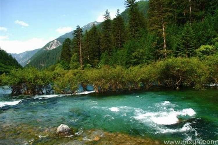 梦到清澈湍流的河水