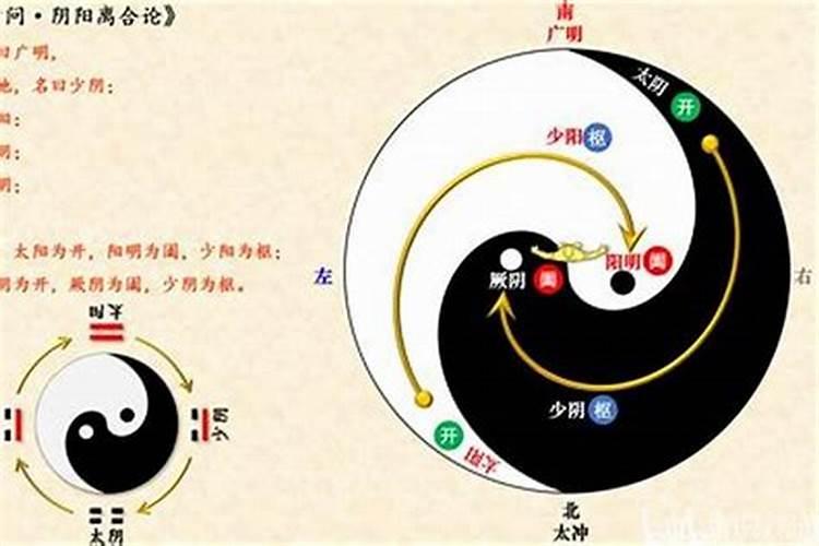 生辰八字有太阴什么意思