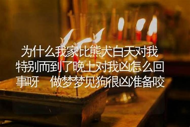 做梦梦到对象对我态度不好怎么回事