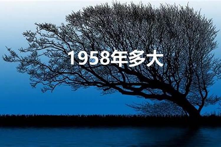 58年属狗的今年多大岁数了