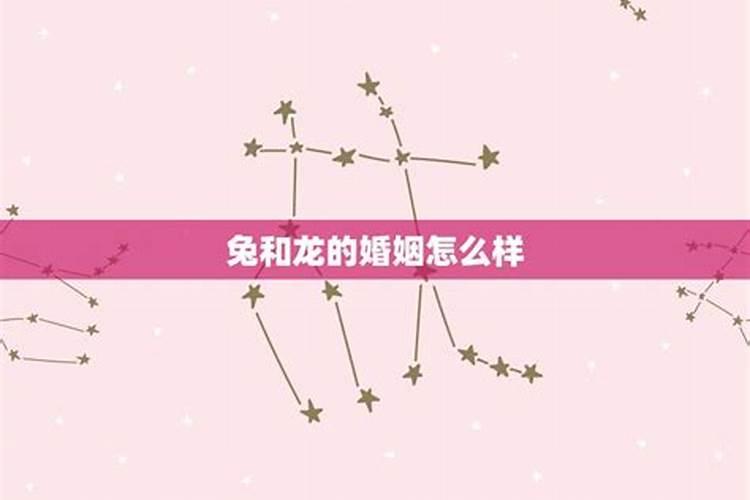 老公属龙我属兔婚姻好不好