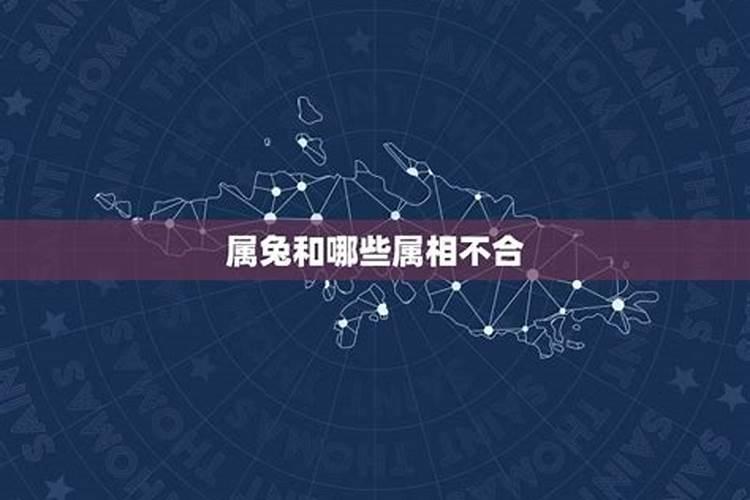 属兔和属蛇八字不合怎么化解