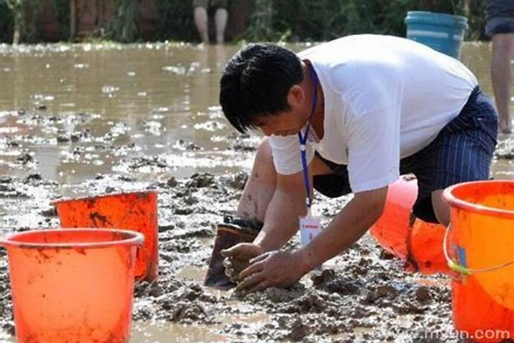 梦见抓泥鳅是什么征兆