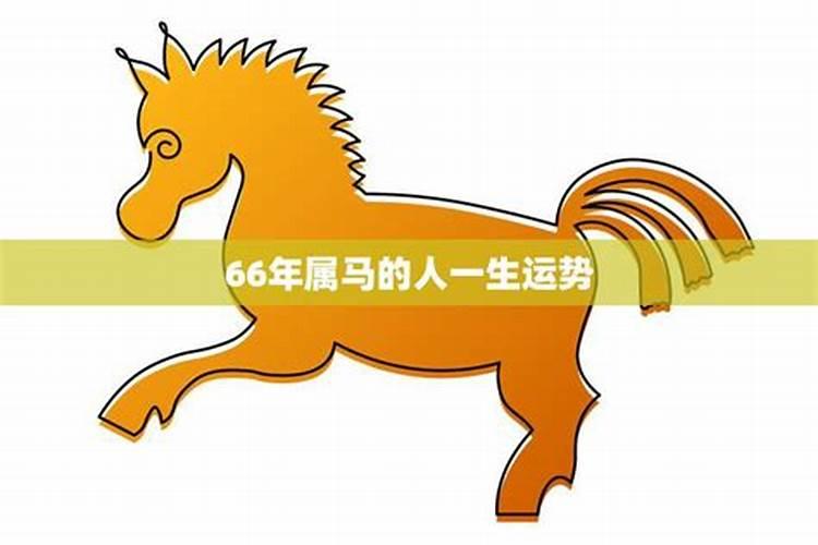 66年属马人一生运势