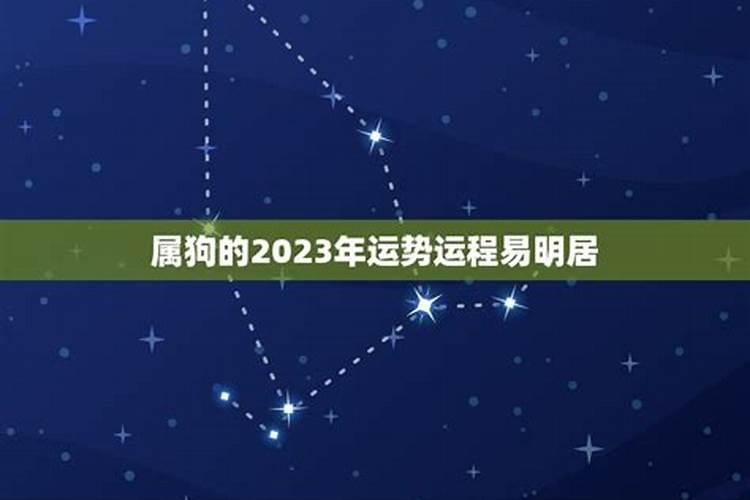 属狗三月份运势2023年